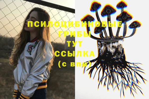 амф Гусь-Хрустальный
